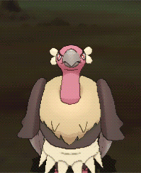 Gif animé vautour avance